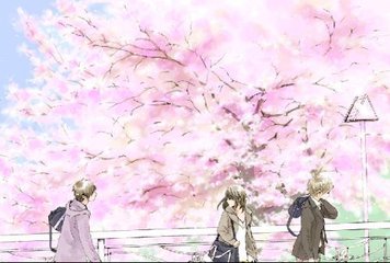 今日看料.com
